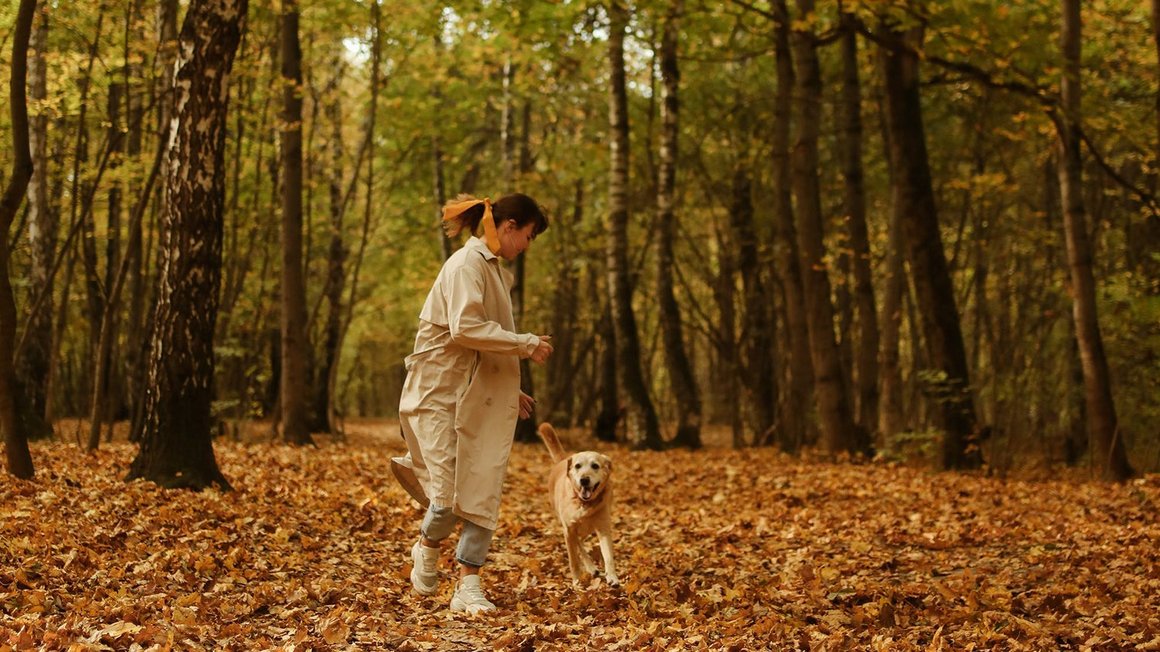 Une femme joue avec son chien dans une forêt
