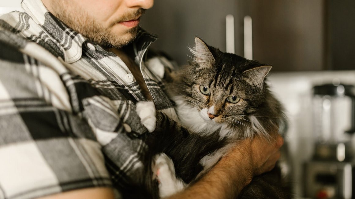 Un homme tient un chat dans ses bras - assurance pour chats